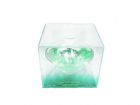 Jacomo Paradox Green (W) edt 100ml